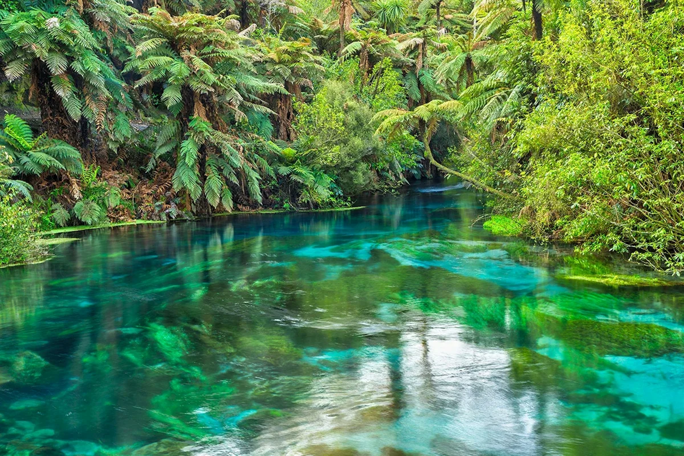 Jani-King's commitment to sustainability includes keeping New Zealand's waterways clean.